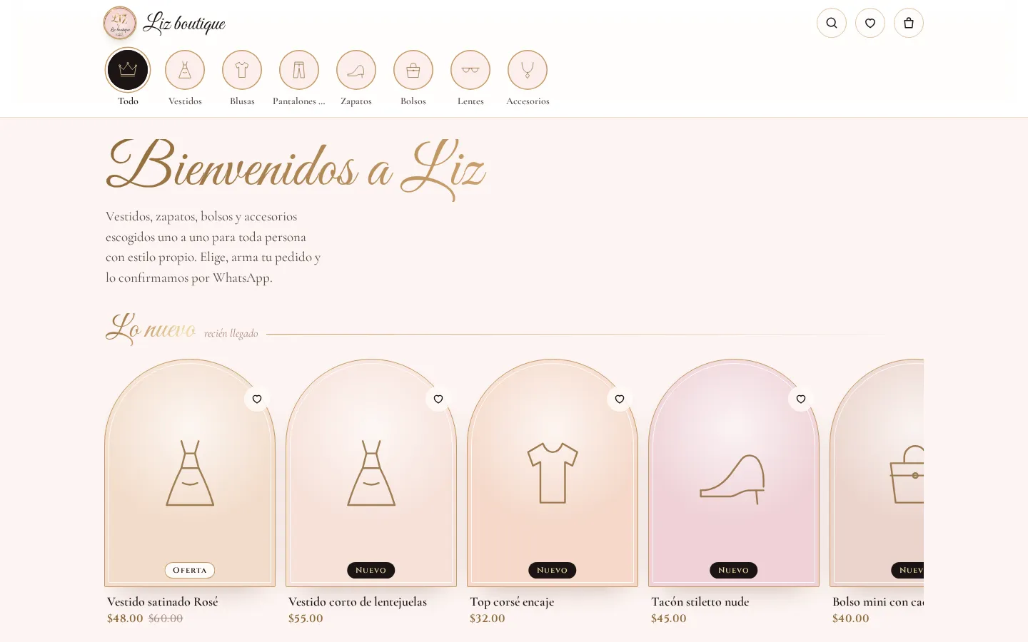 Portada de Liz Boutique en computadora con novedades